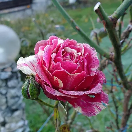 Tourist Complex Karina Hotel