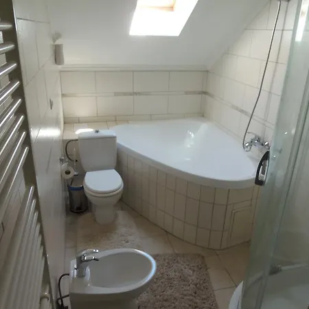 Hotel Tourist Complex Karina Polyana (Transcarpathia)