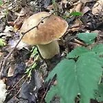 туристический комплекс карина 3*